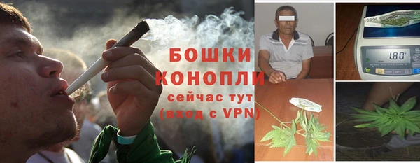 твердый Дмитриев