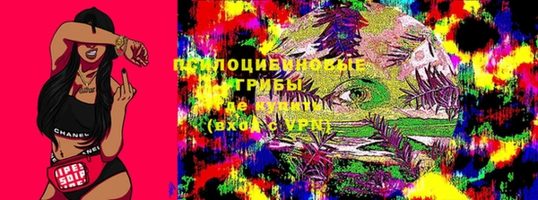 каннабис Дмитров