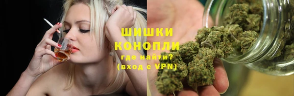 твердый Дмитриев