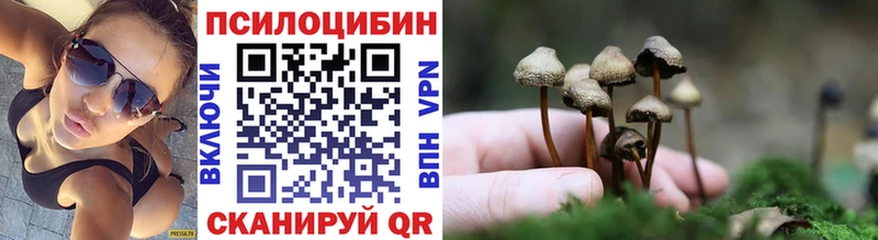 Галлюциногенные грибы MAGIC MUSHROOMS  Купить закладки  Рошаль 